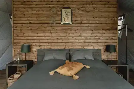 Villy Uley Karelia (Вили Улей Карелия) - 3