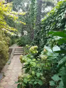 Пальмира - 20