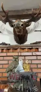 Дом Охотника и Рыбака - 19