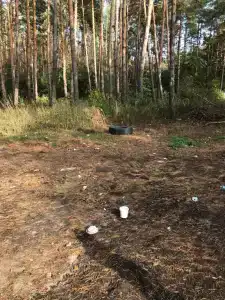 Олимп - 81