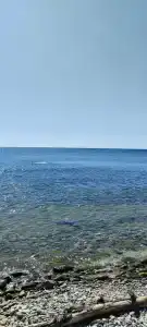 Сосновый берег+ - 99