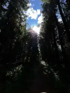 Гранд Усадьба - 34