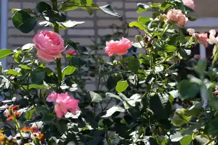 Портофлот - 23