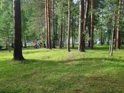 Кибик - 50