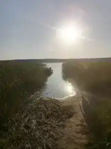 Белое озеро - 97