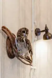 Дом купчихи Ершовой - 43