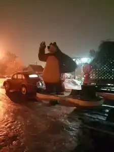 Паж - 10