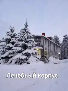 Русский лес - 55