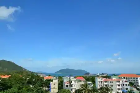 TuẤn Ninh - 2