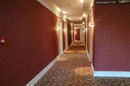 Paradise Island - 13