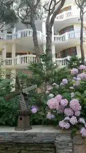 Флорентина - 29