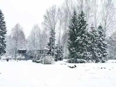 Пушкиногорье - 12