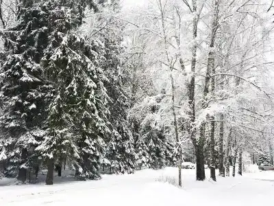 Пушкиногорье - 16