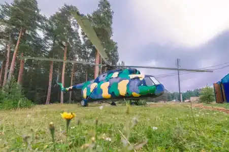 Сова - 12