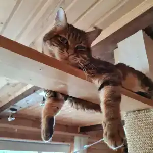 Семейный домик у озера - 62