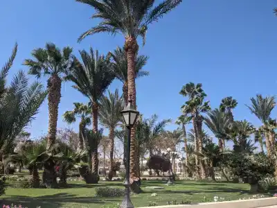 The Grand Resort - 88