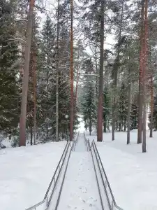 Звёздный - 91