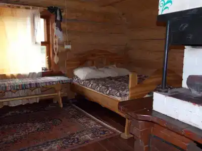 в лесу - 12