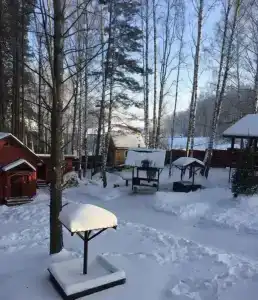 Сибирский двор - 0