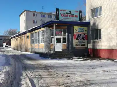 Багира - 47