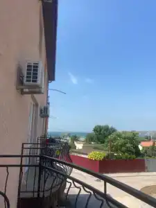 Stella di mare - 28