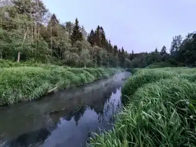 Рядом Даль - 19