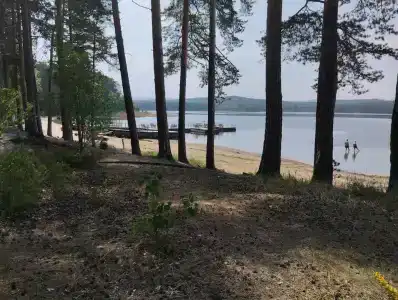 Лесная - 12