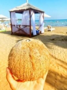 Utopia Beach Club - 56