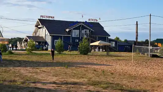 Рыба-пила - 37
