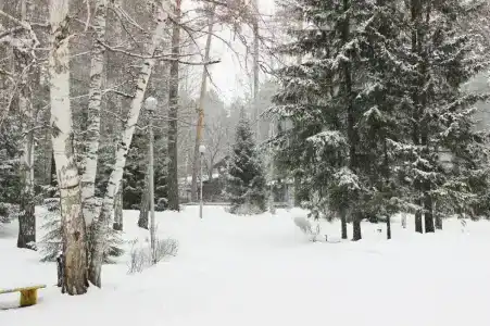 Гренада - 7