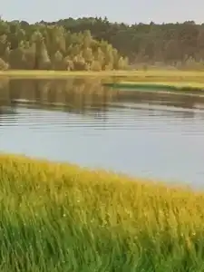 Свирь - 28