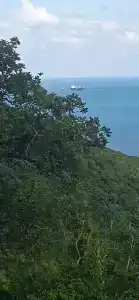 Лиманчик - 65