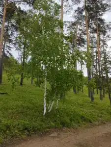 Юбилейный - 34