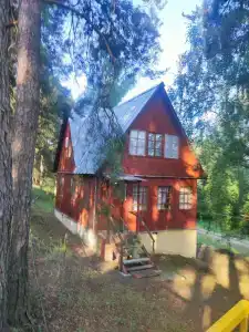 Ока - 12