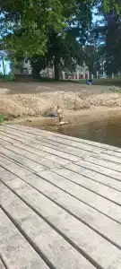 Зелёная роща - 94