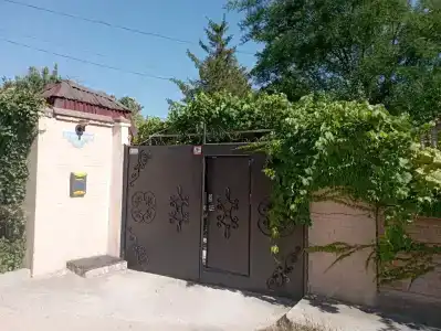 Камея - 12