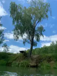 Точка Glamping - 36