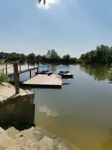 Зеленая Пристань - 65