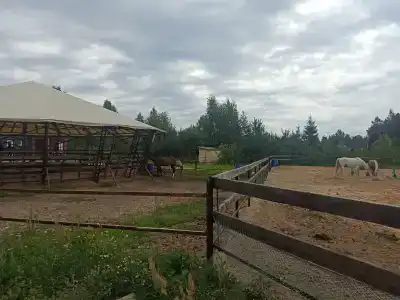Бивак - 17