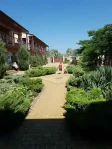 Тиритака - 8