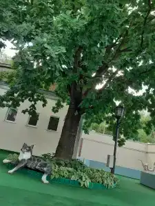 Санаторий - 3