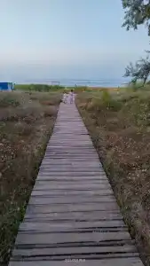 Прибой - 14