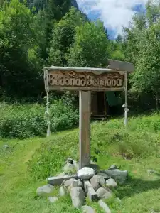 Эстюба - 29