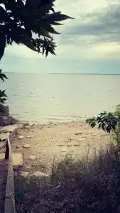 Дача - 12