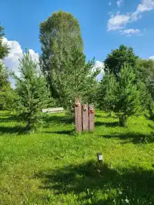 Емельяново - 71