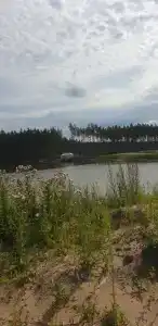 Беседки на Коркинском озере - 59