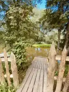 У Борисыча - 69