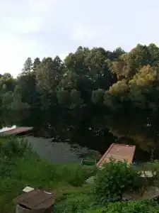 Утро на заводи - 79