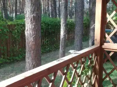 Чайка - 7