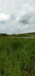 Голубой залив Электроприбор - 26